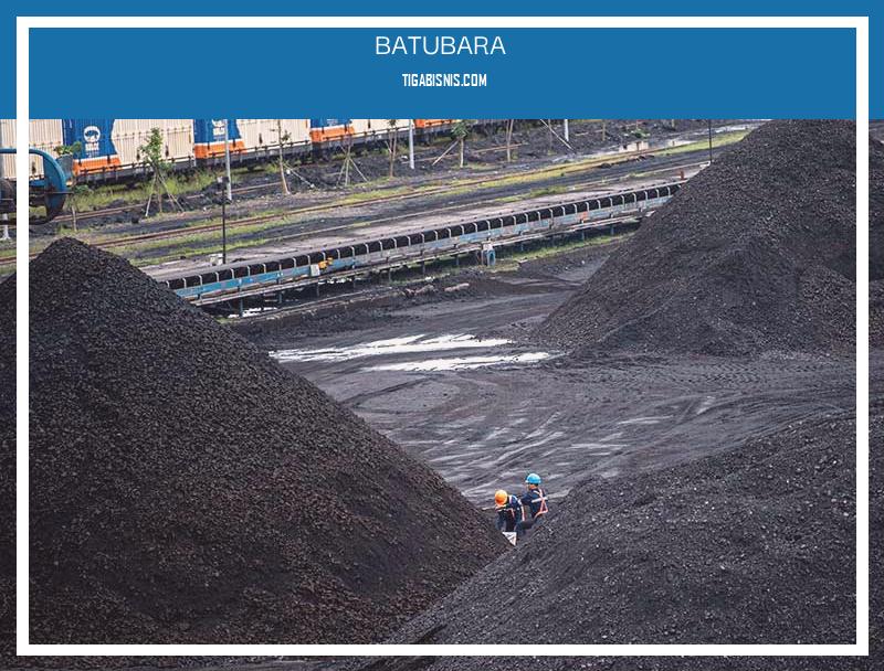 Kesempatan Karir Untuk Batubara . Sumber : Https://ekonomi.bisnis.com/read/20220108/44/1486668/jepang-korea-selatan-desak-ri-buka-keran-ekspor-batu-bara-luhut-buka-suara