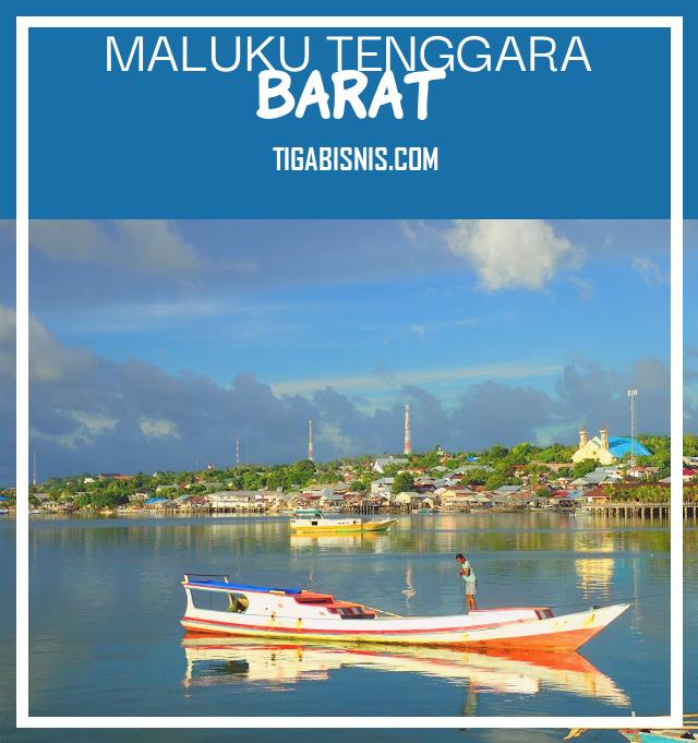Kesempatan Kerja Di Daerah Maluku Tenggara Barat Tahun 2022. Sumber : Https://www.sulselsatu.com/2019/02/02/nasional/kabupaten-maluku-tenggara-barat-berubah-nama-jadi-kepulauan-tanimbar.html